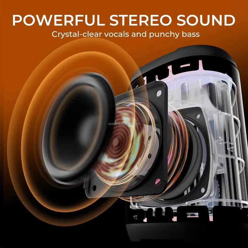 W-KING D110 RGB 무선 블루투스 스피커 LE - Bluetooth Speaker Waterproof 리뷰 및 가격